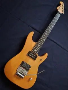 2025年最新】Washburn nunoの人気アイテム - メルカリ
