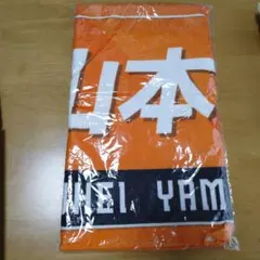 レノファ山口 77番　山本龍平選手