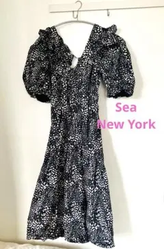sea newyork ワンピースのサムネイル