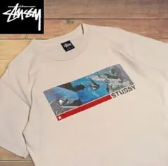90s old ステューシー stussy USA製 M シングルステッチのサムネイル