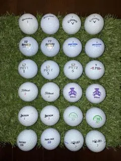 로스트볼 골프 로스트볼 토비에몬 파이즈 투어 스테이지 혼마