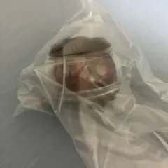 ファイズカプセム　仮面ライダーゼッツ　ライダーカプセム　新品未開封