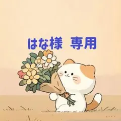 はな様　専用(12/8迄)