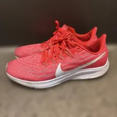 NIKE ペガサス 36 ランニングシューズ(27.5cm)