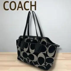 2025年最新】coach ミニシグネチャー トートバッグの人気