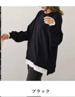 レイヤード Tシャツ