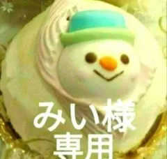 ♡みい様専用ページ♡