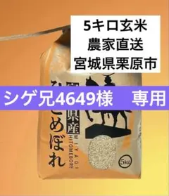 宮城県栗原市産 ひとめぼれ 5kg 玄米 農家直送 令和7年 環境保全米