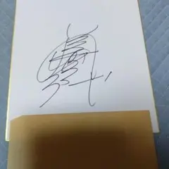 野中瑠衣 佐々木千紘 大島杏花 色紙サインセット - メルカリ