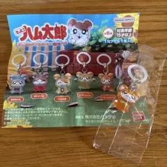 ハム太郎 めじるしアクセサリー　トラハムちゃん