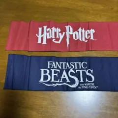 Harry Potter & Fantastic Beasts タオルセット