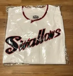 Item thumbnail for item 803aa76f-02af-4621-86e5-5002114ee97c