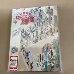 Item thumbnail for item 8c992abc-15fb-4e6b-a138-808e90acbcf6