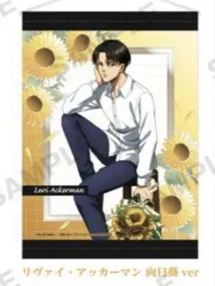 2025年最新】リヴァイタペストリーの人気アイテム - メルカリ