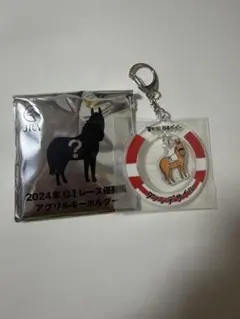 ウェルカムチャンス アクリルキーホルダー ドウデュース 競馬砂メダル