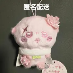 ぬいぱれっと ラッコ ちいかわ