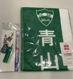 【青山学院大学150周年記念】トラックジャージ AG150】青山学院創立150周年記念グッズ 青山学院×niko and