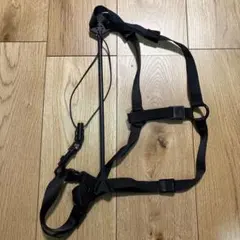 Item thumbnail for item b0b51cd7-c15f-4af9-ab29-987725b72edb