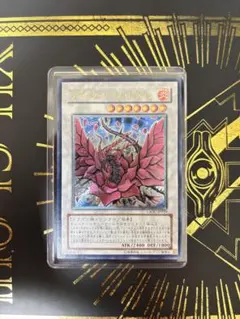 準美品〜美品】遊戯王 ブラックローズドラゴン 旧レリーフ - メルカリ