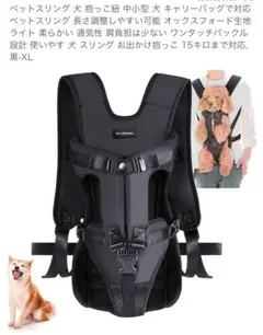 Item thumbnail for item fd697980-6430-4547-aeb1-71c1bf539fdf