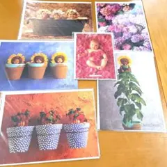 ANNE GEDDES グリーティングカード 6枚セット