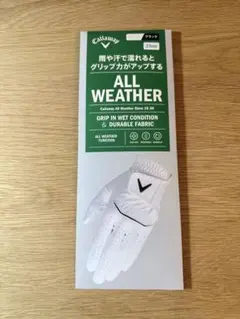 Item thumbnail for item d992eecb-2bb7-49b2-9ef7-1c57ef58045e