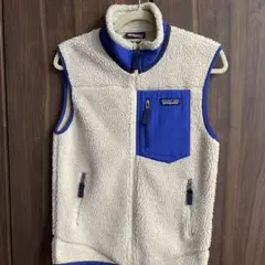 Patagoniaのベージュとブルーのフリースベスト