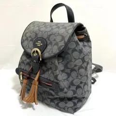 【エミ★様専用】【美品】COACH コーチ クリオ リュックサック グレー