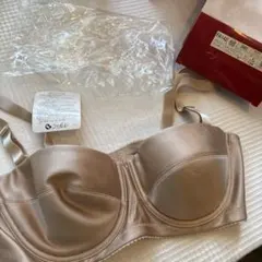 045 シャルレ ブラジャー ブラウンB85 新品 下着 レア 激安のサムネイル