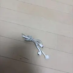 有線イヤホン iPhone付属品 Apple純正