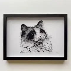 北村直登『汚ねぇ猫（美しい猫）』作品番号25228 複製画 額装 ポスト