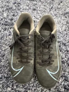 Item thumbnail for item 9a7e34fb-b25d-4e5b-a5e2-cf42ac62d2b1