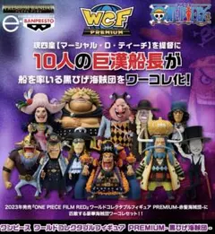 ワンピース ワールドコレクタブルフィギュア PREMIUM 黒ひげ海賊団
