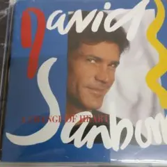 fusion David Sanborn Change of Heart