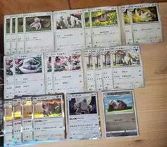 N117 ナマケロ ヤルキモノ ケッキング 進化ライン ポケモンカード ポケカ