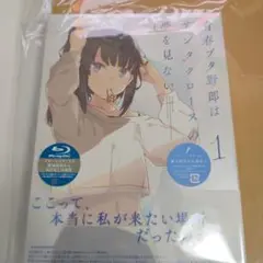 青春ブタ野郎はサンタクロースの夢をみない 1 完全生産限定版 BD