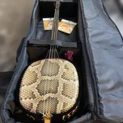 2026年最新】三味線 弦 セットの人気アイテム - メルカリ