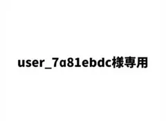 user_7a81ebdc様専用