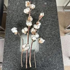 ホワイトコットン ドライフラワー 4本セット