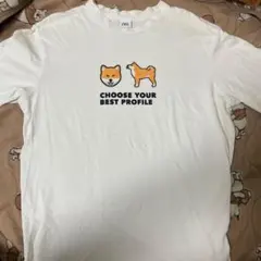 ZARA 柴犬 プリント Tシャツ ホワイト