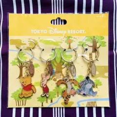 【新品未開封品】ディズニー リゾート キーチェーン プーさん ティガー 4点