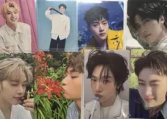 マシュー メテュ トレカ まとめ売り