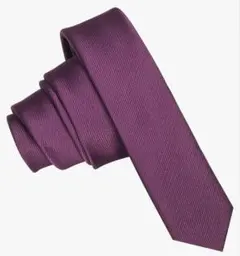 メンズ 超薄型ネクタイ（幅1.6インチ／約4cm）ユース向けネクタイ洗濯可能