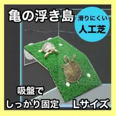 Item thumbnail for item cee31b72-9df3-4382-ac44-4cfe8e6599ed