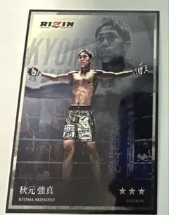 Item thumbnail for item bc6efc23-cb68-466c-a71f-29d7e41794b0