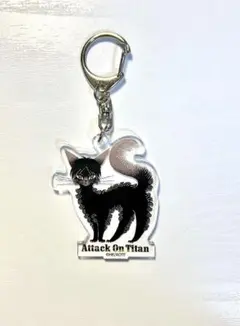 進撃の巨人 黒ねこ意匠 アクリルチャームコレクション ハンジ猫 進撃の巨人〉全8種コンプリートBOX アクリルチャーム