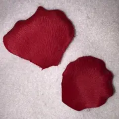 なにわ男子 BON BON VOYAGE 落下物 バラ 薔薇 アダルティー