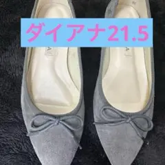ダイアナ21.5
