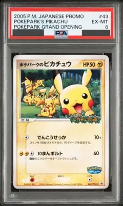 ポケパークのピカチュウ　プロモ ポケパークのピカチュウ プロモ 未開封 043/PCG-P 1枚の通販 magi