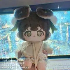 ゼルダの伝説 リンク 同人 着せ替えぬいぐるみ 約20cm - メルカリ